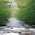 The River (Flute and Harp)