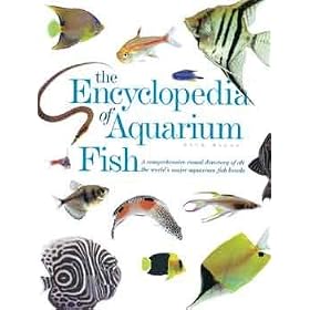 Barrons Books Encyclopedia of Aquarium Fish by Barrons Books