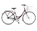 RALEIGH Caprice Ladies 16inch Bike