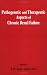 Pathogenetic and Therapeutic Aspects of Chronic Renal Failure