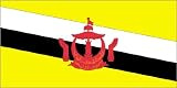 Annin Nylon Brunei Flag, 3-Foot by 5-Foot