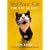 Test Your Cat: The Cat IQ Test