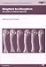 Biosphere
to
Lithosphere:
New
Studies
in
Vertebrate
Taphonomy
-
Proceedings
of
the
9th
Conference
of
the
International
Council
of
Archaeozoology,
Durham,
...
(Proceedings
of
the
9th
ICAZ
Conference)