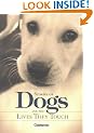Stories of Dogs: And the Lives They Touch