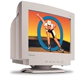 Viewsonic 19IN/18.0V 27MM 1600X1280 76HZ ( Q95 )