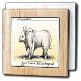 Review 3dRose LLC  / Endangered Braman Bull - 6 Inch Tile Napkin Holder