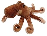 Land & Sea Wild Animals - Octapus