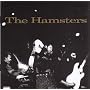 Hamsters