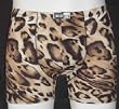 Animal Print PouchShorts
