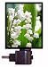 Floral / Flower Night Light - Lily of the Valley