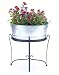 Achla C-51 Galvanized Steel Tub - Oval
