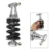 Amico