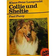 Collie und Sheltie. Langhaar- und Kurzhaar- Collie