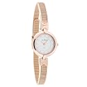 Skagen Women's Mesh Bangle Quartz Watch #354SRR
