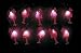 Pink Flamingo Light String Set