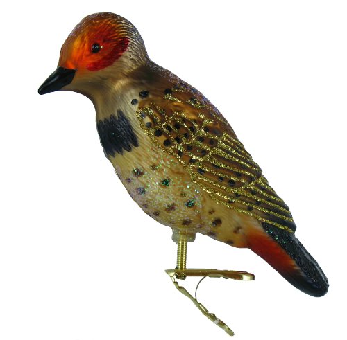Old World Christmas Northern Flicker Ornament Old World Christmas Northern Flicker Ornament