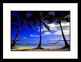 Great American Picture IS603047 Palm and Hammock Framed Photograph - Walter Bibikow