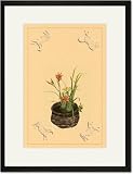 Black Framed/Matted Print 17x23, Daylily, Miscanthus, Japanese Glove Flower, and Patria Scabiasaegolia