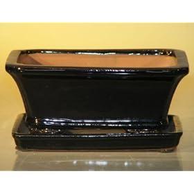 Bonsai Boy's Ceramic Bonsai Pot With Attached Humidity/Drip tray- Rectangle6.37" x 4.75" x 2.625"