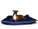 Large 35x46 Super Value Dog Pet Bed - Blue