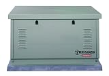 Generac Portable Products 4301  8000 Watt Beacon Backup Power System