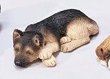 German Shepherd - Snoozer Sandicast (II)