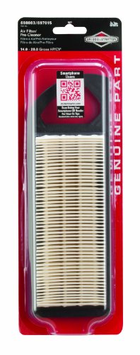 christmas Briggs Stratton Filter Premium 5077KB000BQQ2S2