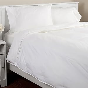 Overfilled Down Alternative Comforter, Twin by 