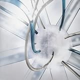 DICTATORS CIRCUS-A variant BUD-