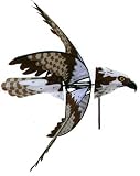 Osprey Spinner
