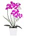 HOMESEASONS LED Lighted Artificial Phalaenopsis Orchid Arrangement with 9 Lights,Purple