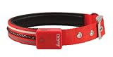 Company of Animals Vivid Flashing Safety Collar, M, Red