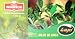 2 Boxes Lupi 100ct + 2 Boxes Windsor 100ct, Mate De Coca Gift Set Limited Supply