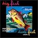 Alice Peacock-Big Fish Little Fish, Volume 1: Emerging Women in Chicago Music