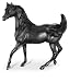 Walter Farley's The Black Stallion Model & DVD Set