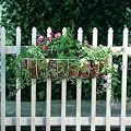 CLASSIX PLANTER 30