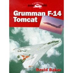 Grumman F-14 Tomcat (Crowood Aviation)