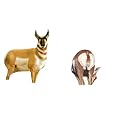 Montana Decoy® Antelope Buck / Doe Combo