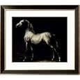 Study of a Dapple Grey Styles Framed Art Poster Print by Th�odore G�ricault, 29x25