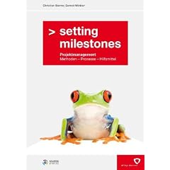 Setting Milestones - Projektmanagement Methoden, Prozesse, Hilfsmittel
