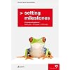 Setting Milestones - Projektmanagement Methoden, Prozesse, Hilfsmittel