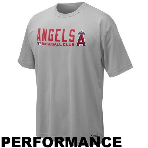 Nike Los Angeles Angels of Anaheim Gray Dri-FIT Team Issue Performance Top