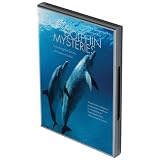 Dolphin Mysteries