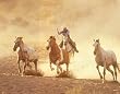 Cowboy roping Horses Art Print POSTER western RARE - 19x13