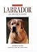 Labrador (Collins Dog Owner's Guides)