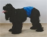 Male Doggy Wrap Blue- Medium