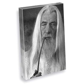 IAN McKELLEN - Canvas Print (LARGE A3 - Signed by the Artist) #js001
