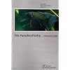 Die Paradiesfische: Gattung Macropodus