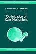 Optimization of Cam Mechanisms (Solid Mechanics and Its Applications)