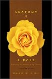 Anatomy of a Rose: Exploring the Secret Life of Flowers